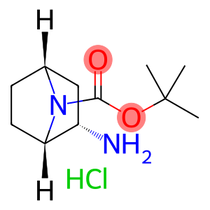 tert-butyl rac-(1S,2S,4R)-2-amino-7-azabicyclo[2.2.1]heptane-7-carboxylate hydrochloride