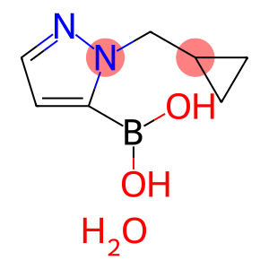 1-(环丙基甲基)-1H-吡唑-5-硼酸,二水合物