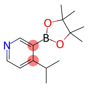 4-异丙基-3-(4,4,5,5-四甲基-1,3,2-二氧杂硼烷-2-基)吡啶