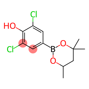 2,6-Dichloro-4-(4,4,6-trimethyl-1,3,2-dioxaborinan-2-yl)phenol