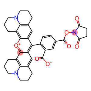 5-羧基-X-罗丹明琥珀酰亚胺酯