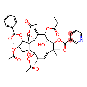 2,5,14-Triacetoxy-3-benzoyloxy-8,15-dihydroxy-7-isobutyroyloxy-9-nicotinoyloxyjatropha-6(17),11E-diene