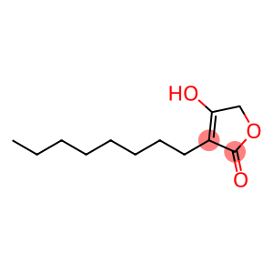 2(5H)-Furanone, 4-hydroxy-3-octyl-