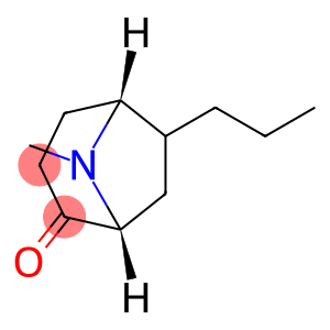 8-Azabicyclo[3.2.1]octan-2-one,8-methyl-6-propyl-,(1R,5R)-rel-(9CI)