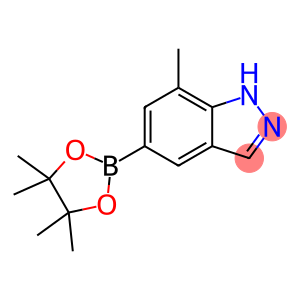7-Methyl-1H-indazole-5-boronic acid pinacol ester