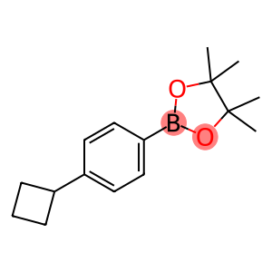 (4-Cyclobutylphenyl)boronic acid pinacol ester