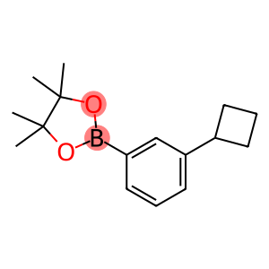 2-(3-Cyclobutylphenyl)-4,4,5,5-tetramethyl-1,3,2-dioxaborolane