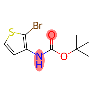 tert-Butyl (2-bromothiophen-3-yl)carbamate