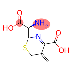 2H-1,3-Thiazine-2-acetic acid, α-amino-4-carboxy-5,6-dihydro-5-methylene-, (αR,2R)-