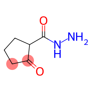 Cyclopentanecarboxylic acid, 2-oxo-, hydrazide (9CI)