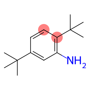 2,5-di-tert-butylaniline