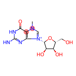Guanosine, 7-methyl-,inner salt (9CI)