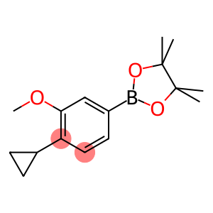 2-(4-cyclopropyl-3-methoxyphenyl)-4,4,5,5-tetramethyl-1,3,2-dioxaborolane