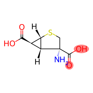 2-Thiabicyclo[3.1.0]hexane-4,6-dicarboxylicacid,4-amino-,(1R,4S,5S,6S)-rel-(+)-(9CI)