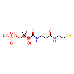 Phosphopantetheine