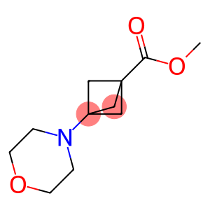 3-Morpholin-4-yl-bicyclo[1.1.1]pentane-1-carboxylic acid methyl ester