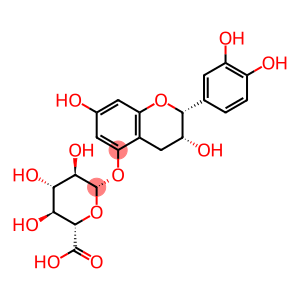 Epicatechin 5-O-β-D-glucuronide