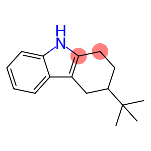 3-TERT-BUTYL-1,2,3,4-TETRAHYDROCARBAZOLE