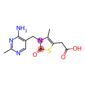 5-Thiazoleacetic acid, 3-[(4-amino-2-methyl-5-pyrimidinyl)methyl]-2,3-dihydro-4-methyl-2-oxo-