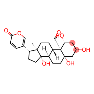 1β,3β,5,14-Tetrahydroxy-19-oxo-5β-bufa-20,22-dienolide