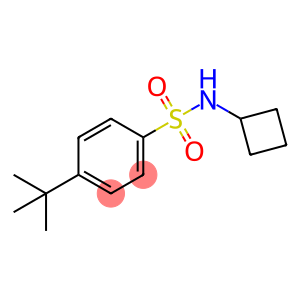 4-(叔丁基)-N-环丁基苯磺酰胺