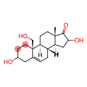 3,16,19-trihydroxy-5-androsten-17-one