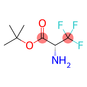 tert-butyl (R)-2-amino-3,3,3-trifluoropropanoate