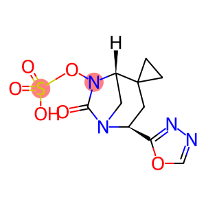 CB-618(CB 238618)HOMOLOGOUS 1