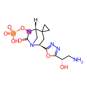 CB-618 Homologous 3