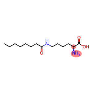 N6-(1-oxooctyl)-L-lysine