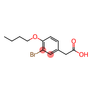 2-(3-BROMO-4-BUTOXYPHENYL)ACETIC ACID