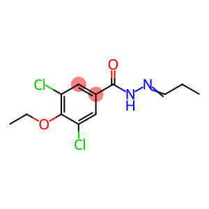 Benzoic acid, 3,5-dichloro-4-ethoxy-, 2-propylidenehydrazide