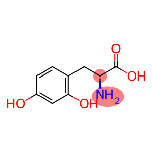 2,4-dihydroxyphenylalanine