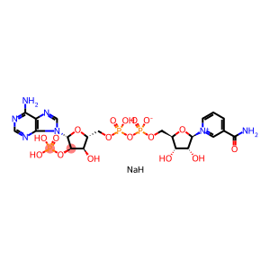 氧化型辅酶II二钠 (NADP NA2)