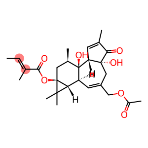 12-DEOXYPHORBOL 13-ANGELATE 20-ACETATE