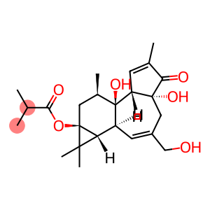 8,9,9a-decahydro-4a-beta,7b-alpha,9a-alpha-trihydroxy-3-(hydroxymethyl)-1,1,6,