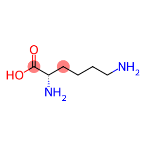 Polylysine