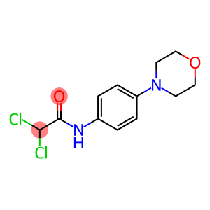 2,2-dichloro-N-[4-(morpholin-4-yl)phenyl]acetamide