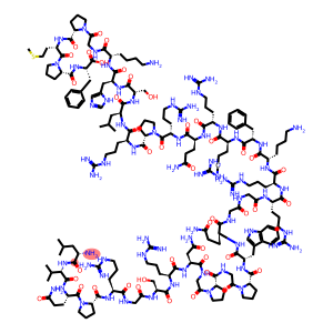 Apelin (human)
