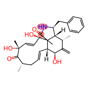 ZYGOSPORIND