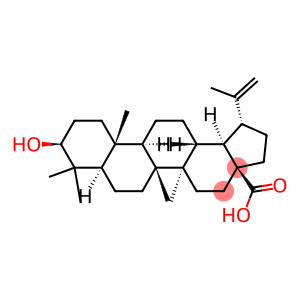 dihydrobetulinic acid