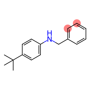 N-benzyl-4-tert-butylaniline