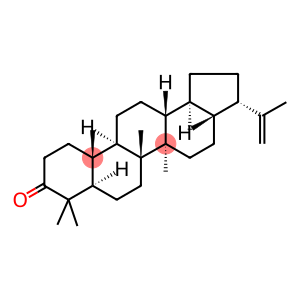 17BETA(H),21BETA(H)-HOP-22(29)-EN-3-ONE