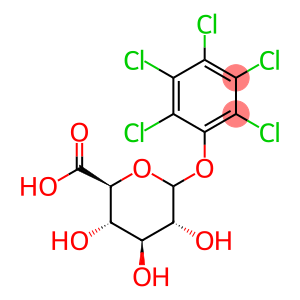 pentachlorophenol glucuronide