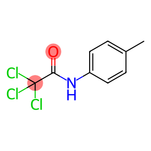 N-(p-Tolyl)trichloroacetamide