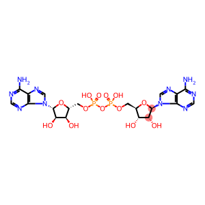 adenosine monophosphate-adenosine