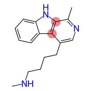 brevicarine