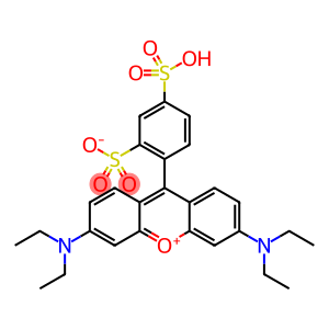 sulforhodamine B