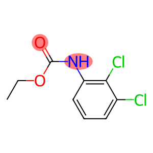 Carbamic acid,(2,3-dichlorophenyl)-, ethyl ester (9CI)