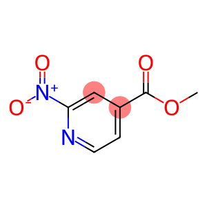 2-nitro-isonicotinic acid methyl ester